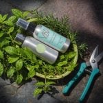 *PRE-ORDER* Rosemary & Tulsi Hydrosol 100ml